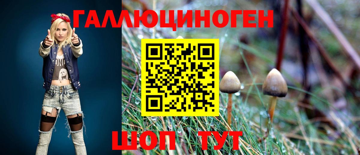Галлюциногенные грибы Cubensis Белогорск