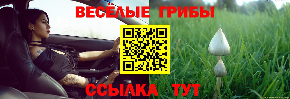 Белогорск  Псилоцибиновые грибы Magic Shrooms  как найти закладки  Вход с VPN 